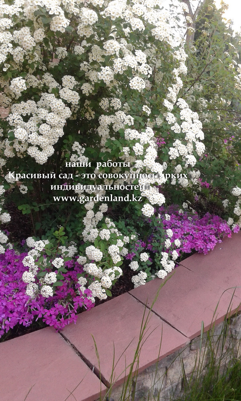 v_sadu_vesnoy almaty